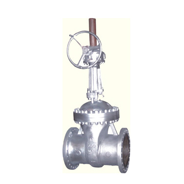 Worm gear gate valve