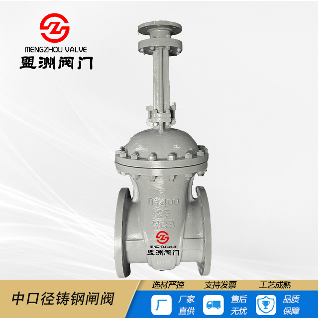 Medium diameter medium pressure gate valve